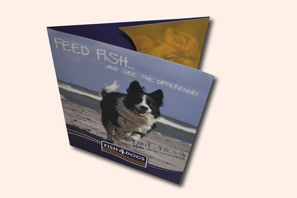 折頁5.png 折頁5.png