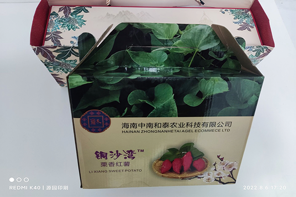 包裝盒a2.png 包裝盒a2.png